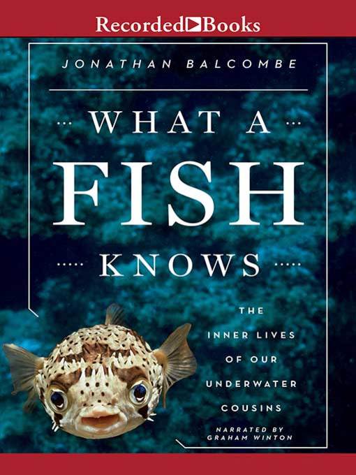 Cover image for What a Fish Knows